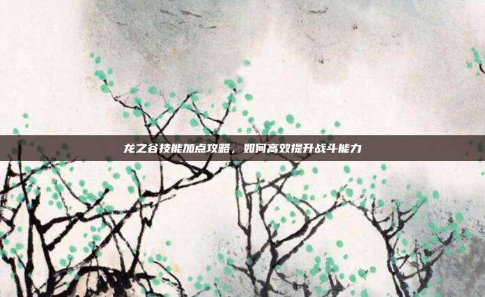 龙之谷技能加点攻略，如何高效提升战斗能力
