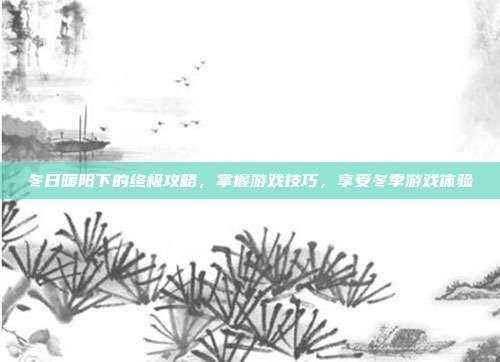 冬日暖阳下的终极攻略，掌握游戏技巧，享受冬季游戏体验