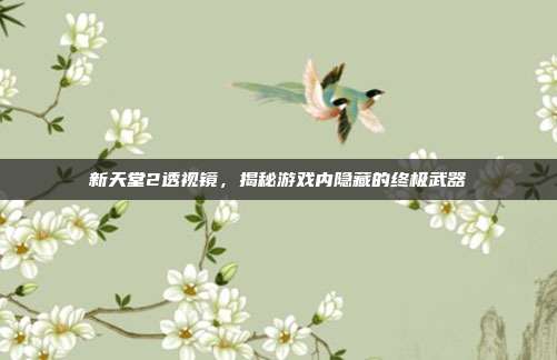 新天堂2透视镜,揭秘游戏内隐藏的终极武器