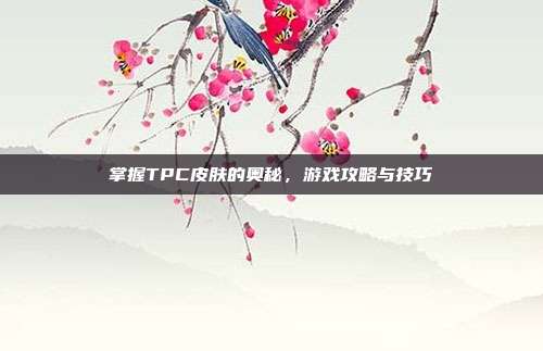 掌握TPC皮肤的奥秘,游戏攻略与技巧