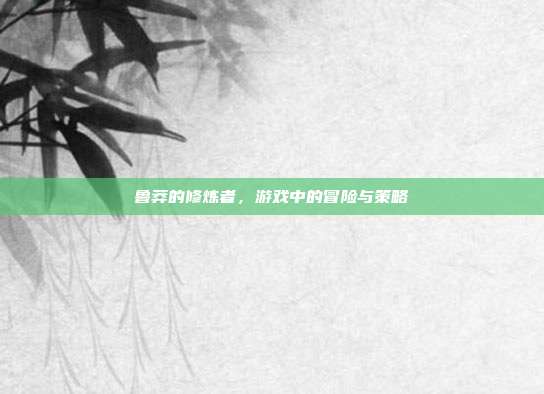 鲁莽的修炼者,游戏中的冒险与策略