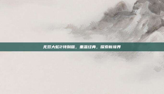 无双大蛇2特别版，重温经典，探索新境界