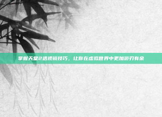 掌握天堂2透视镜技巧，让你在虚拟世界中更加游刃有余