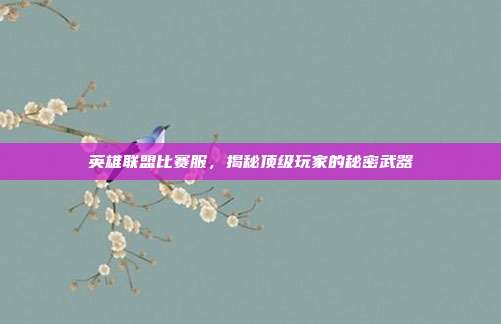 英雄联盟比赛服，揭秘顶级玩家的秘密武器