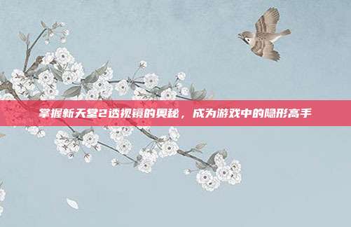 掌握新天堂2透视镜的奥秘,成为游戏中的隐形高手