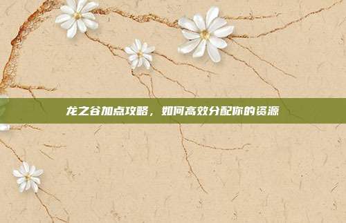 龙之谷加点攻略，如何高效分配你的资源