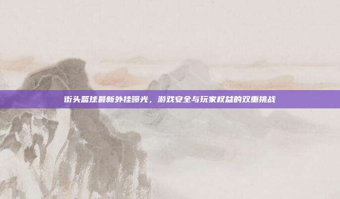 街头篮球最新外挂曝光，游戏安全与玩家权益的双重挑战