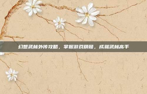 幻想武林外传攻略,掌握游戏精髓,成就武林高手