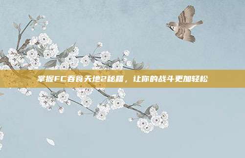 掌握FC吞食天地2秘籍,让你的战斗更加轻松