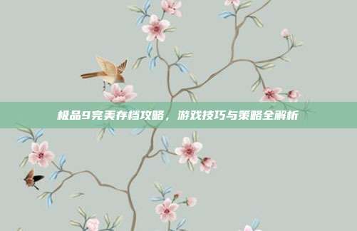 极品9完美存档攻略，游戏技巧与策略全解析