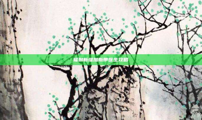 辐射新维加斯带医生攻略