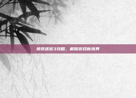 换装迷宫3攻略，解锁游戏新境界