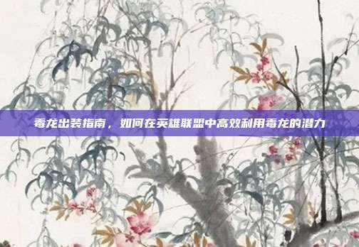 毒龙出装指南，如何在英雄联盟中高效利用毒龙的潜力