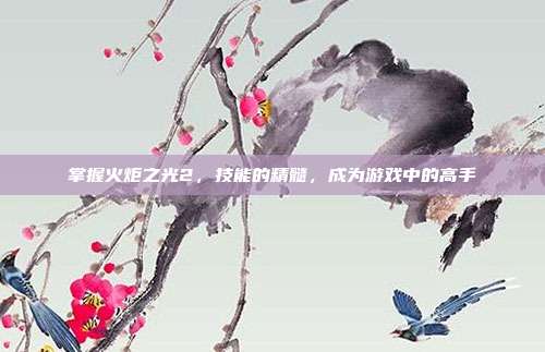 掌握火炬之光2，技能的精髓，成为游戏中的高手