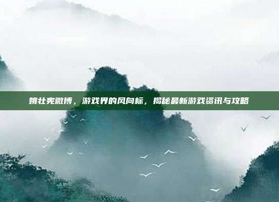 姚壮宪微博，游戏界的风向标，揭秘最新游戏资讯与攻略