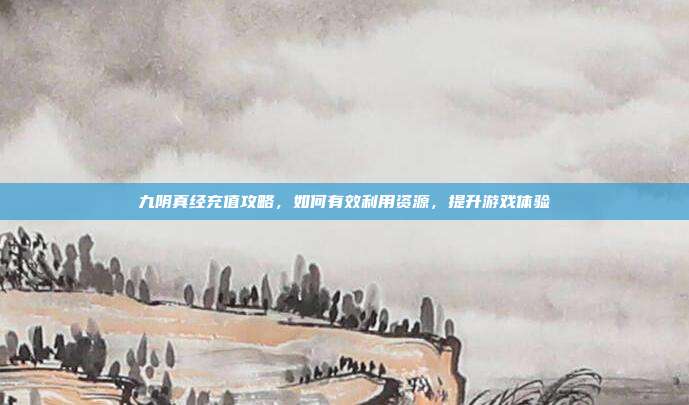 九阴真经充值攻略，如何有效利用资源，提升游戏体验