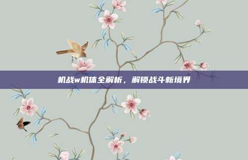 机战w机体全解析,解锁战斗新境界