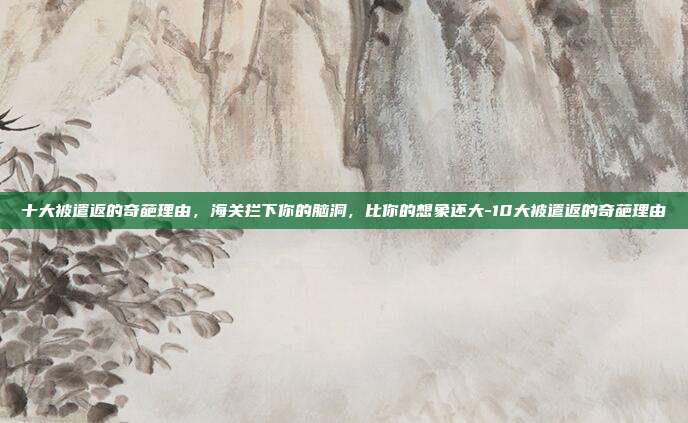 十大被遣返的奇葩理由,海关拦下你的脑洞,比你的想象还大-10大被遣返的奇葩理由