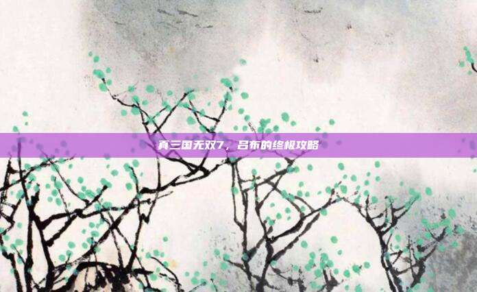 真三国无双7，吕布的终极攻略