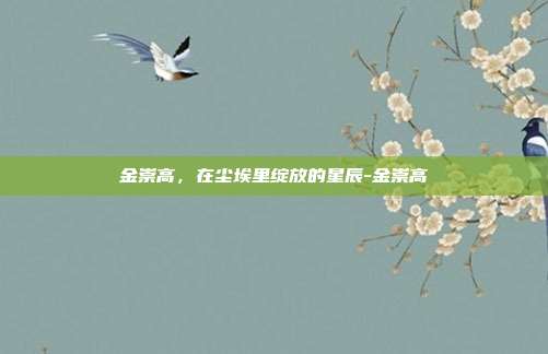 金崇高，在尘埃里绽放的星辰-金崇高
