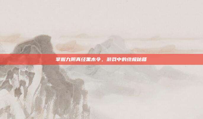 掌握九阴真经黑木令，游戏中的终极秘籍