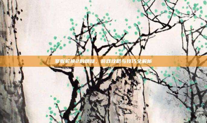 掌握轮换2的精髓，游戏攻略与技巧全解析