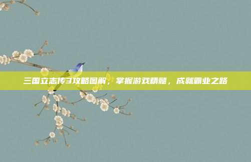 三国立志传3攻略图解,掌握游戏精髓,成就霸业之路