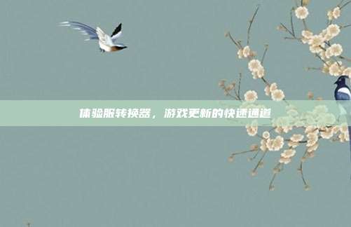 体验服转换器，游戏更新的快速通道