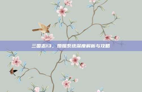 三国志13，婚姻系统深度解析与攻略