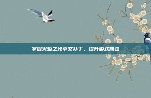 掌握火炬之光中文补丁，提升游戏体验