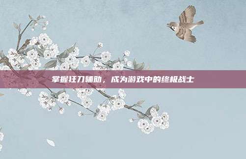 掌握狂刀辅助，成为游戏中的终极战士