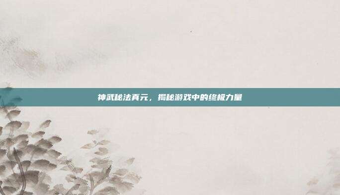 神武秘法真元,揭秘游戏中的终极力量