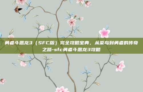 勇者斗恶龙3(SFC版)完全攻略宝典,从菜鸟到勇者的传奇之路-sfc勇者斗恶龙3攻略