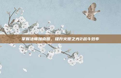 掌握法师加点图,提升火炬之光2战斗效率