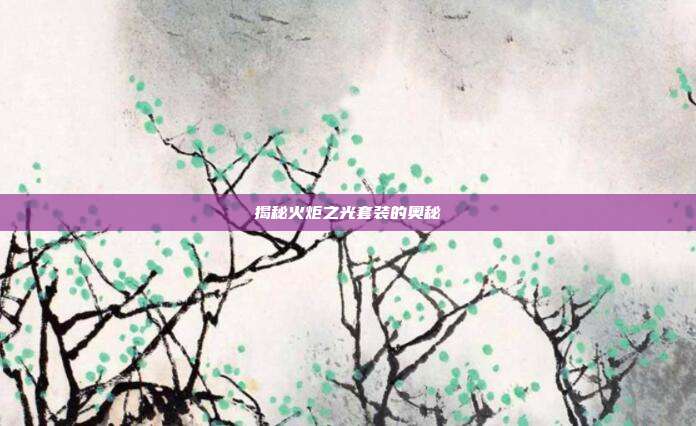 揭秘火炬之光套装的奥秘