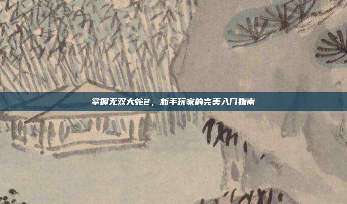掌握无双大蛇2,新手玩家的完美入门指南