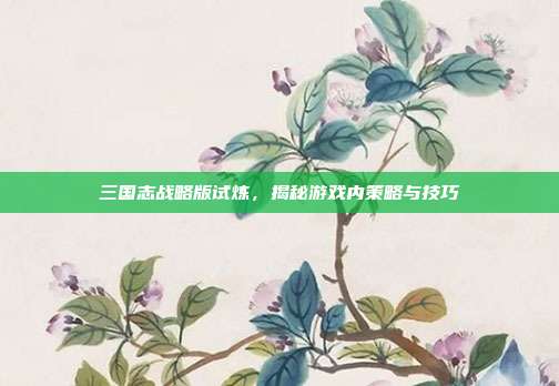 三国志战略版试炼,揭秘游戏内策略与技巧