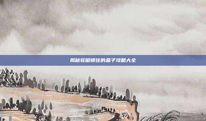 揭秘驻留锁住的盒子攻略大全