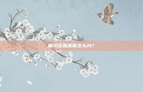 摩尔庄园泥鳅怎么钓?