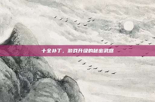 十全补丁，游戏升级的秘密武器