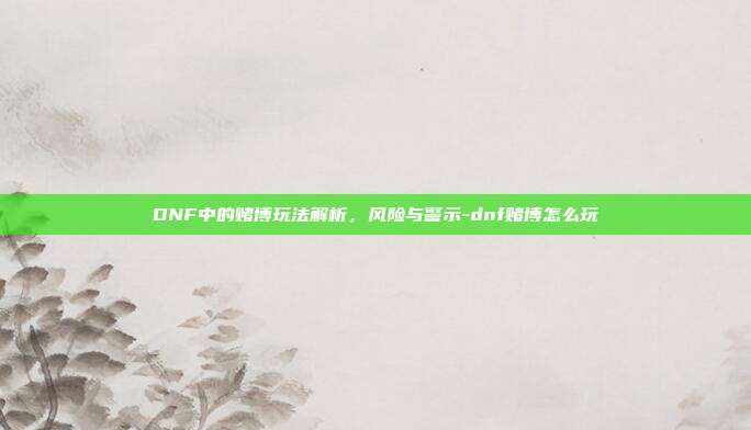 DNF中的赌博玩法解析，风险与警示-dnf赌博怎么玩