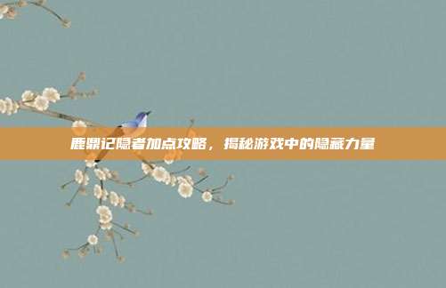 鹿鼎记隐者加点攻略,揭秘游戏中的隐藏力量