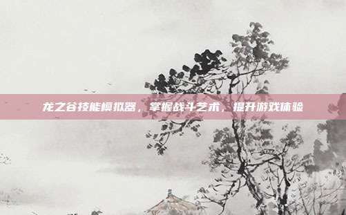龙之谷技能模拟器，掌握战斗艺术，提升游戏体验