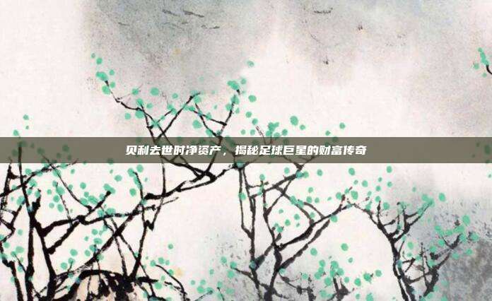 贝利去世时净资产,揭秘足球巨星的财富传奇