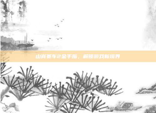 山脊赛车2金手指，解锁游戏新境界