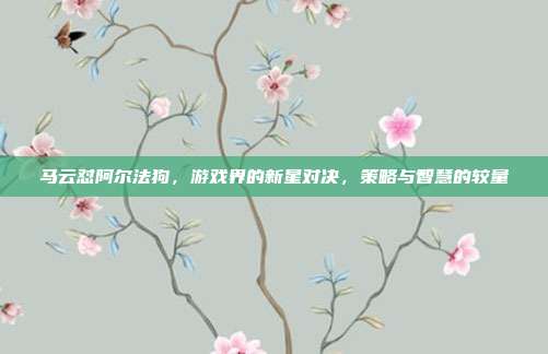 马云怼阿尔法狗，游戏界的新星对决，策略与智慧的较量