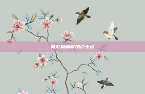 神泣爆刺客加点王道
