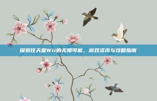 探索任天堂Wii的无限可能，游戏资讯与攻略指南