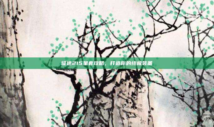 征途215星套攻略,打造你的终极装备