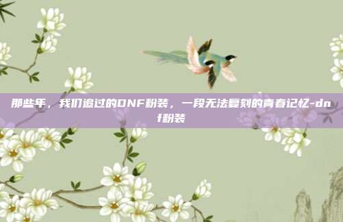 那些年,我们追过的DNF粉装,一段无法复刻的青春记忆-dnf粉装